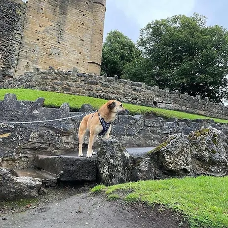 Sunflower Lodge, Lido Leisure Park, *