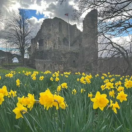 Casa vacanze Sunflower Lodge, Lido Leisure Park, Knaresborough